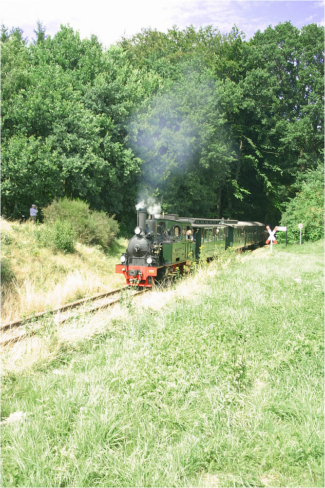 Lok Spreewald im Vilser Holz