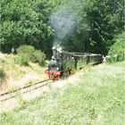 Lok Spreewald im Vilser Holz