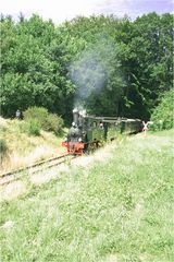 Lok Spreewald im Vilser Holz