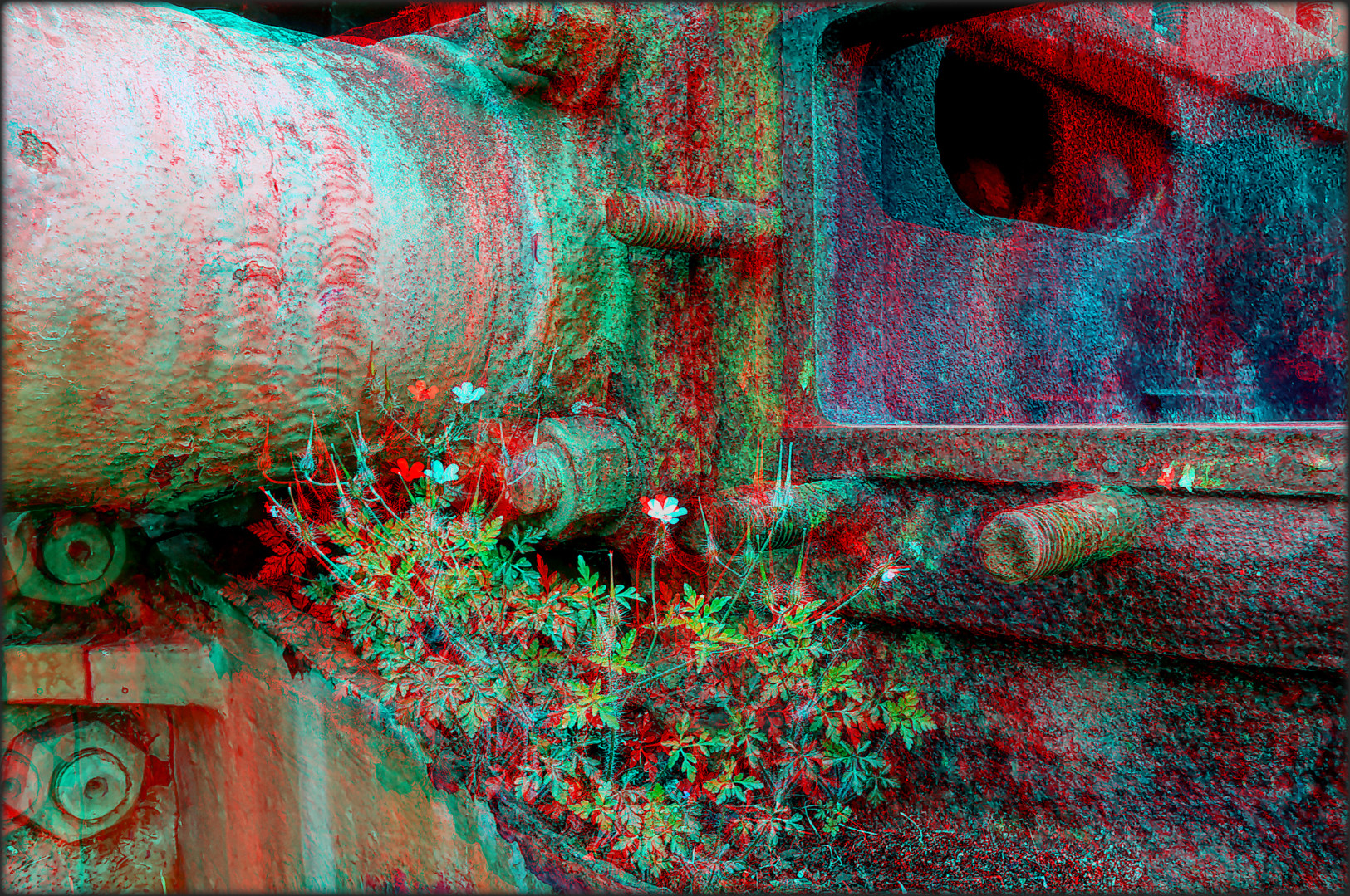 Lokblümchen (3D Anaglyphe)