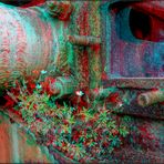 Lokblümchen (3D Anaglyphe)