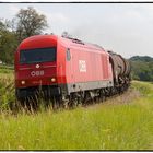 Lokführer Roland mit 2016.077 unterwegs