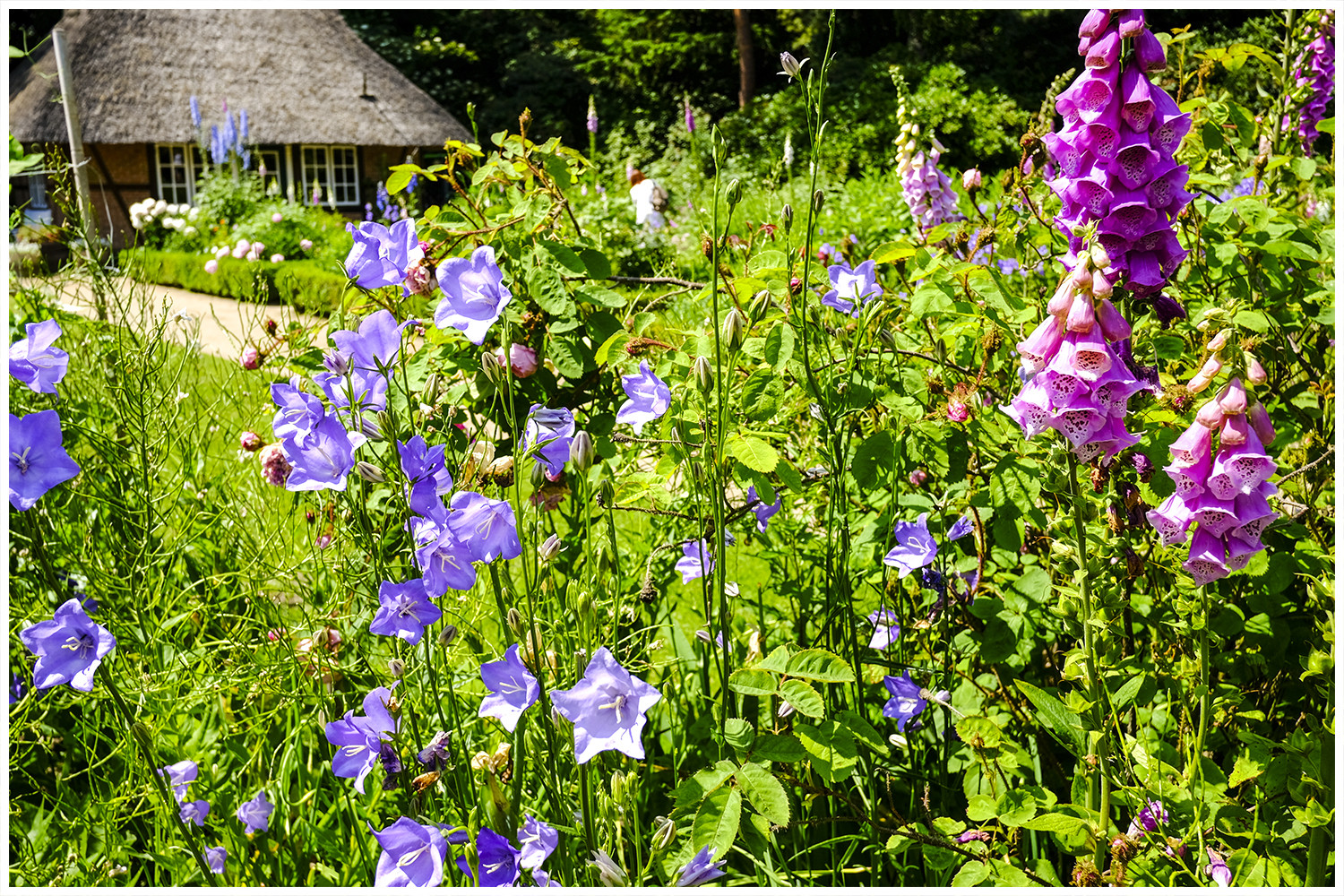 Loki Schmidt Botanischer Garten