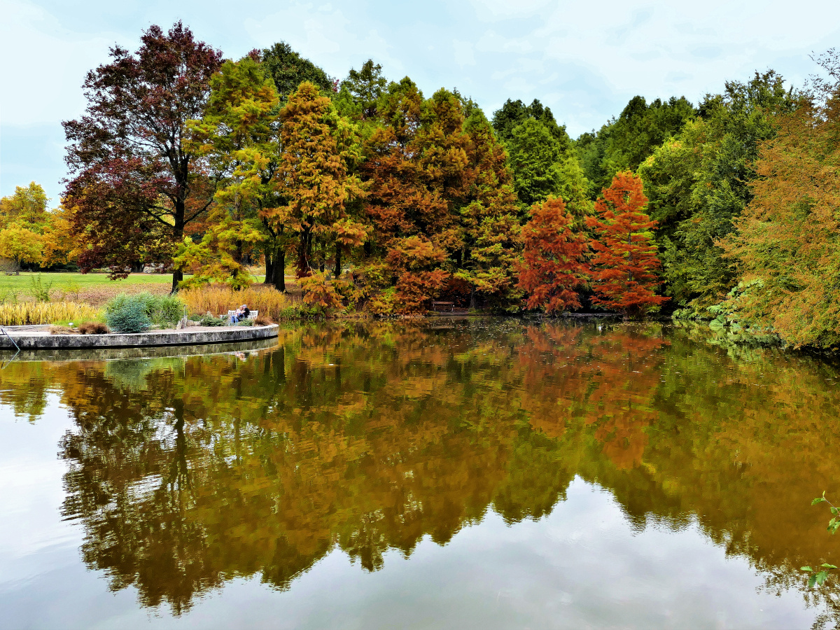 Loki-Schmidt-Garten (Botanischer Garten)