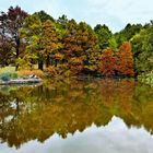 Loki-Schmidt-Garten (Botanischer Garten)