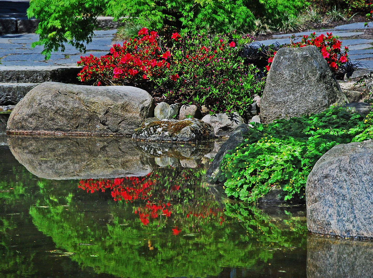 Loki Schmidt Garten Hamburg