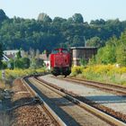 Lokomotive im Grünen