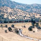 Lokomotiven der BNSF in 11er Traktion ziehen einen ca. 2 km langen Güterzug, CA