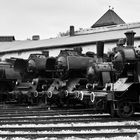 Lokparade bei den 6. Rieser Eisenbahnerlebnistagen