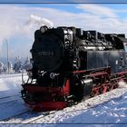 Lokportät: Harzbulle auf dem Brocken