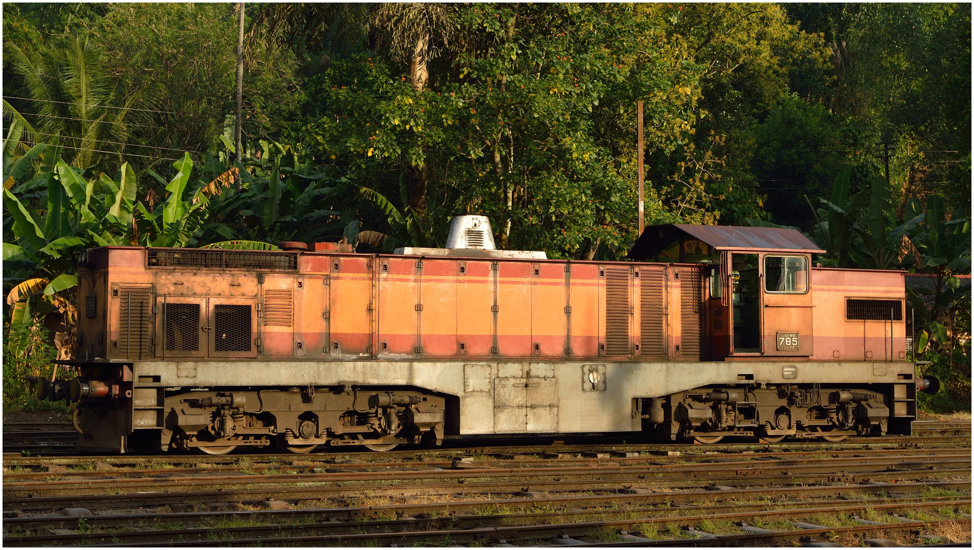  Lokportrait Class M6, Sri Lankan Railways II