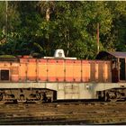  Lokportrait Class M6, Sri Lankan Railways II