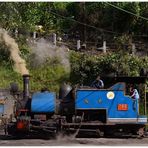 Lokportrait in Darjeeling I