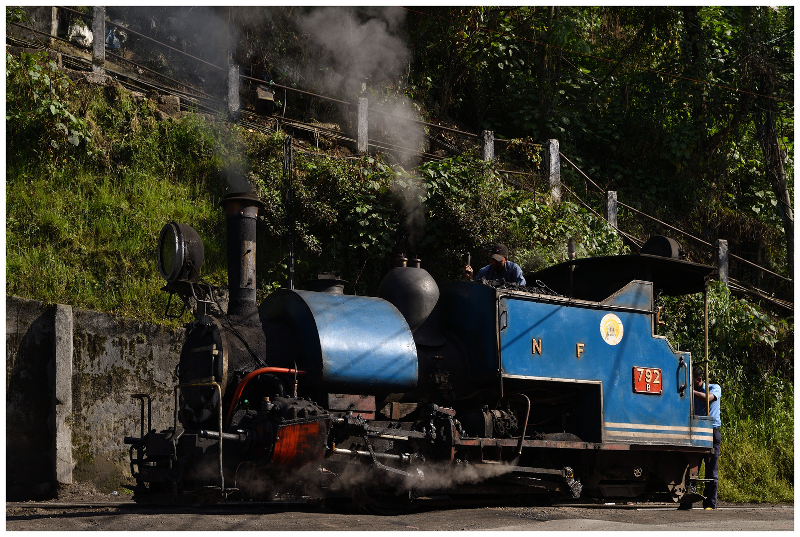 Lokportrait in Darjeeling II