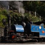 Lokportrait in Darjeeling II