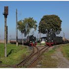 Loks 9 und 11 im Gleisdreieck Siersleben