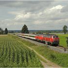 Loks DB - Wagen SBB...