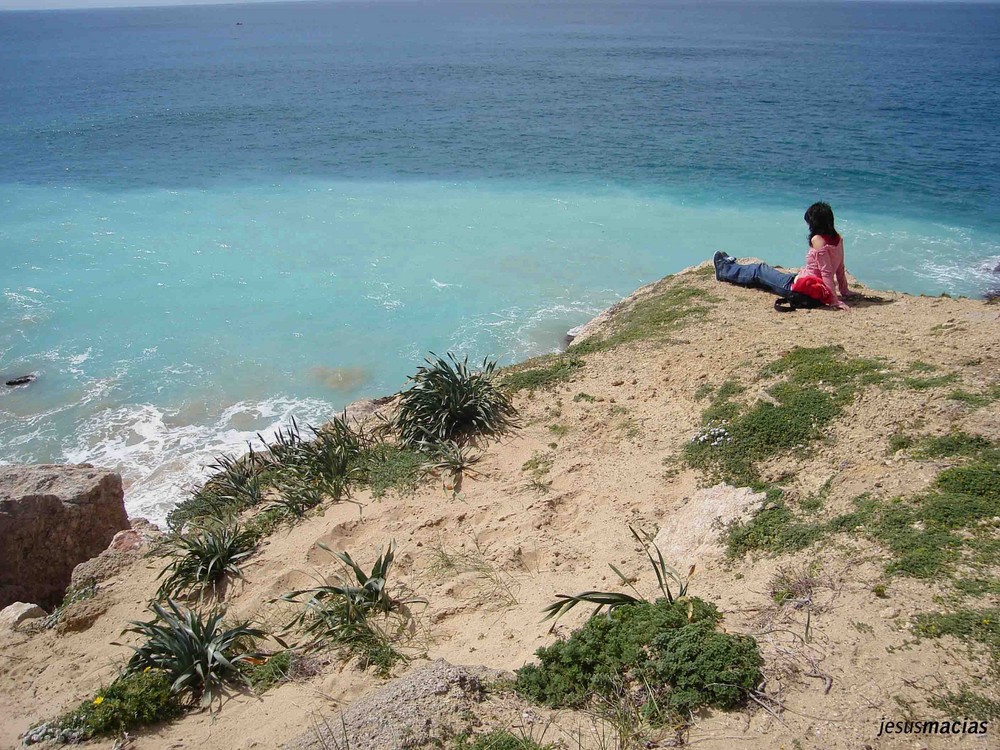 Lola descansa junto al mar