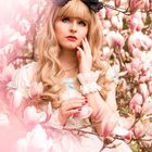 Lolita in Magnolienbäumen