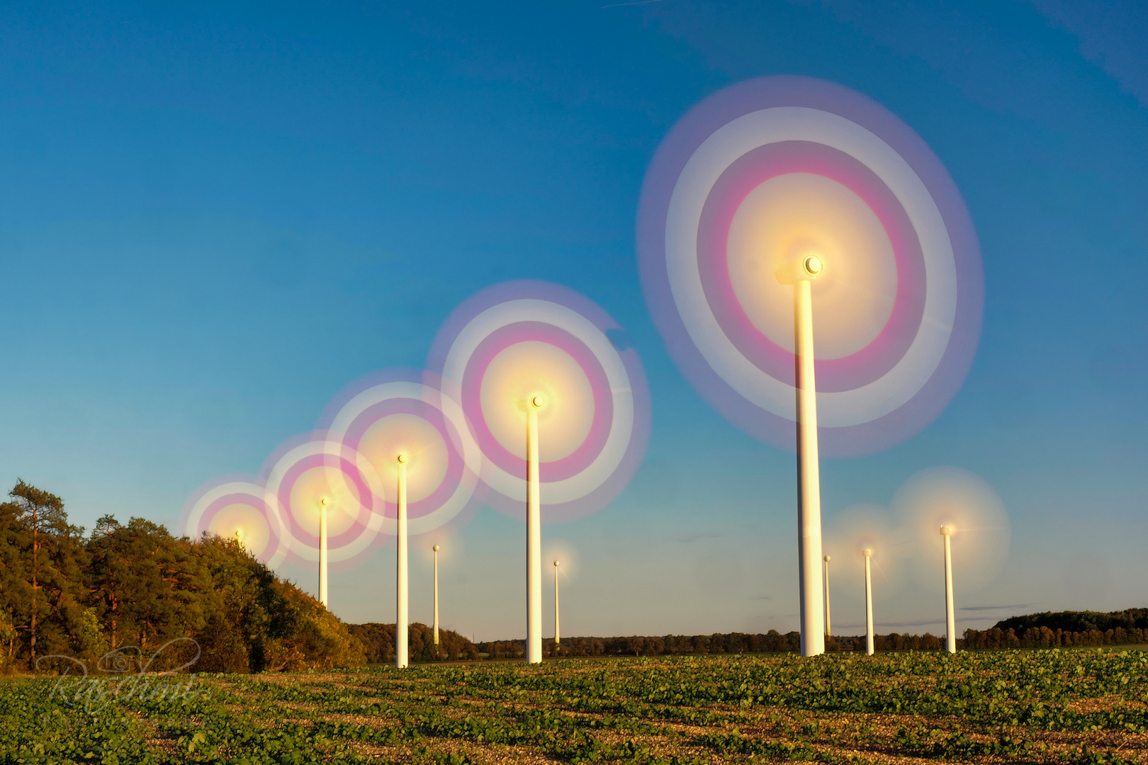 LOLLIPOPS AM BLAUEN HIMMEL