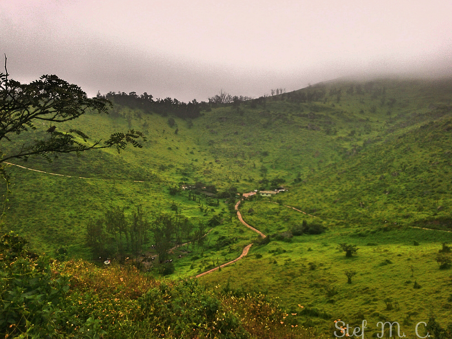 Lomas  de Lachay 