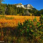 Lombachalp an einem Herbstmorgen