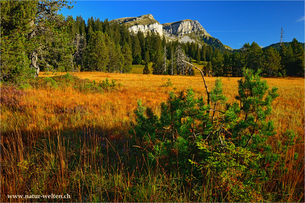 Lombachalp an einem Herbstmorgen