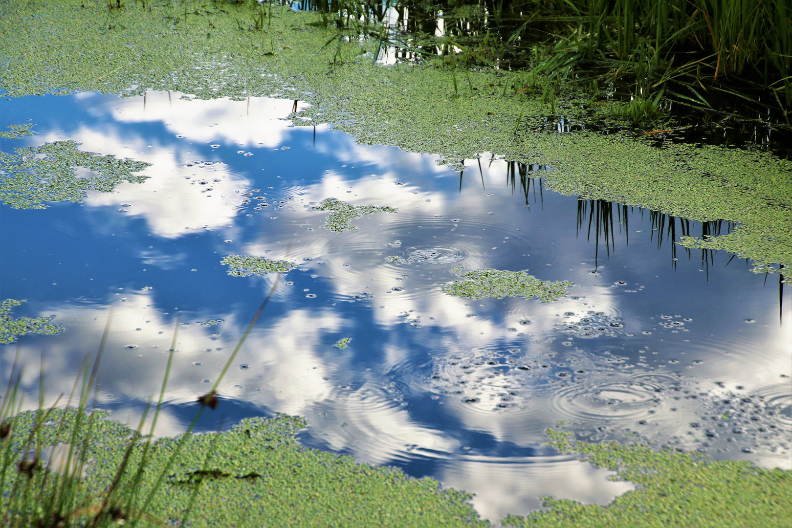 Lombardischer Himmel