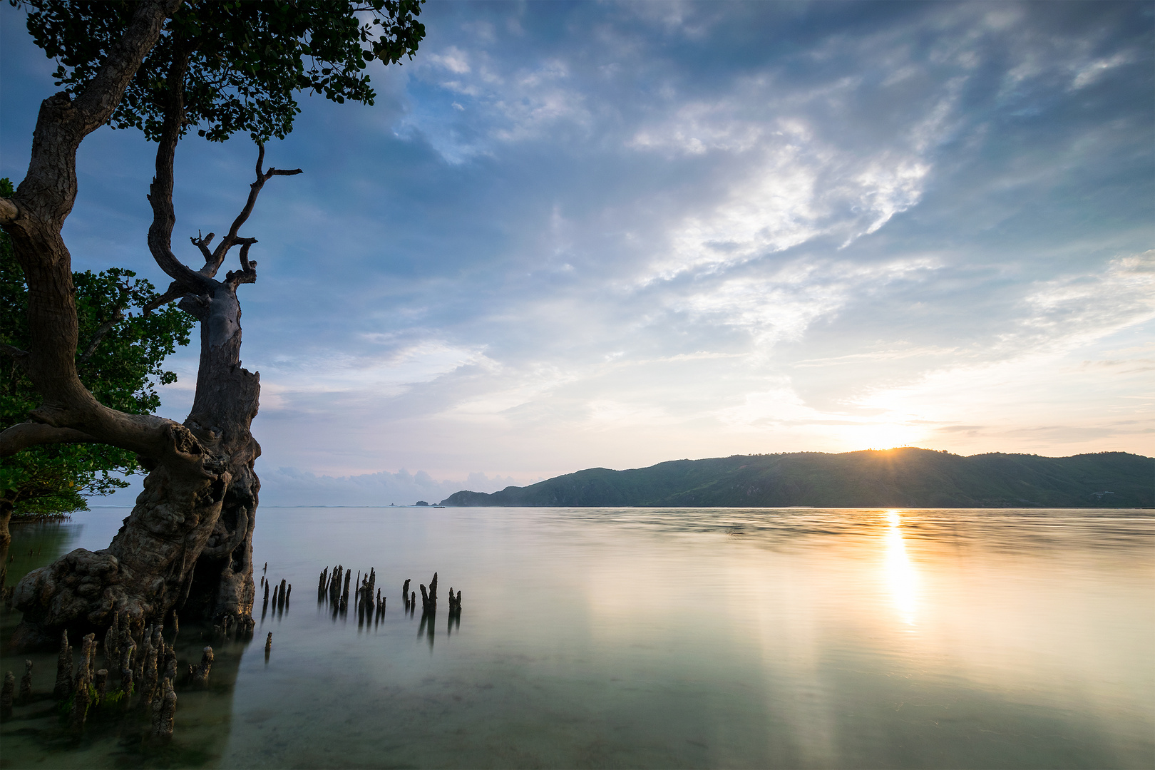 Lombok Mangroves