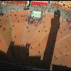 l'ombra di Siena