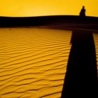 L'ombra nel deserto