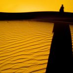 L'ombra nel deserto