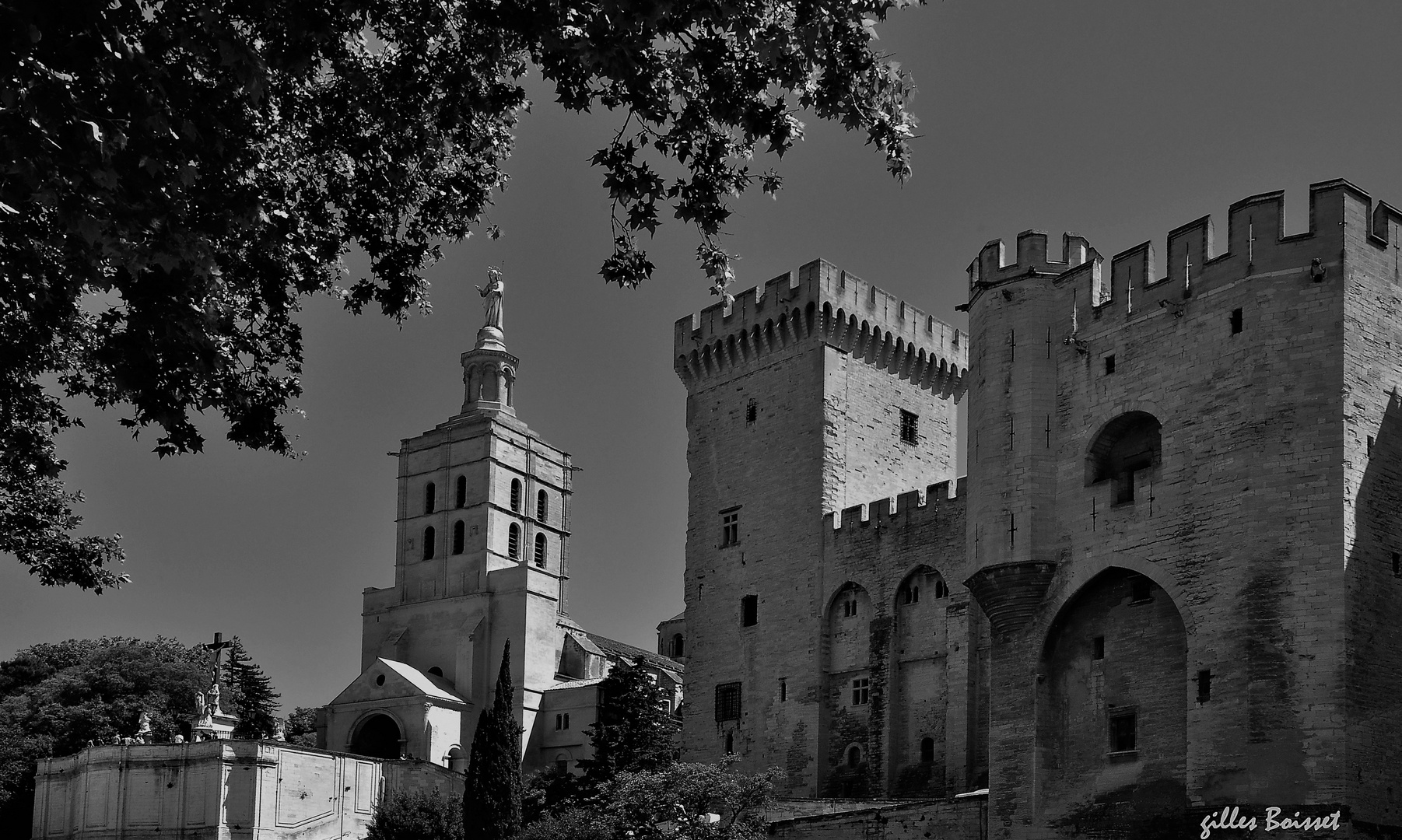 À l'ombre du palais