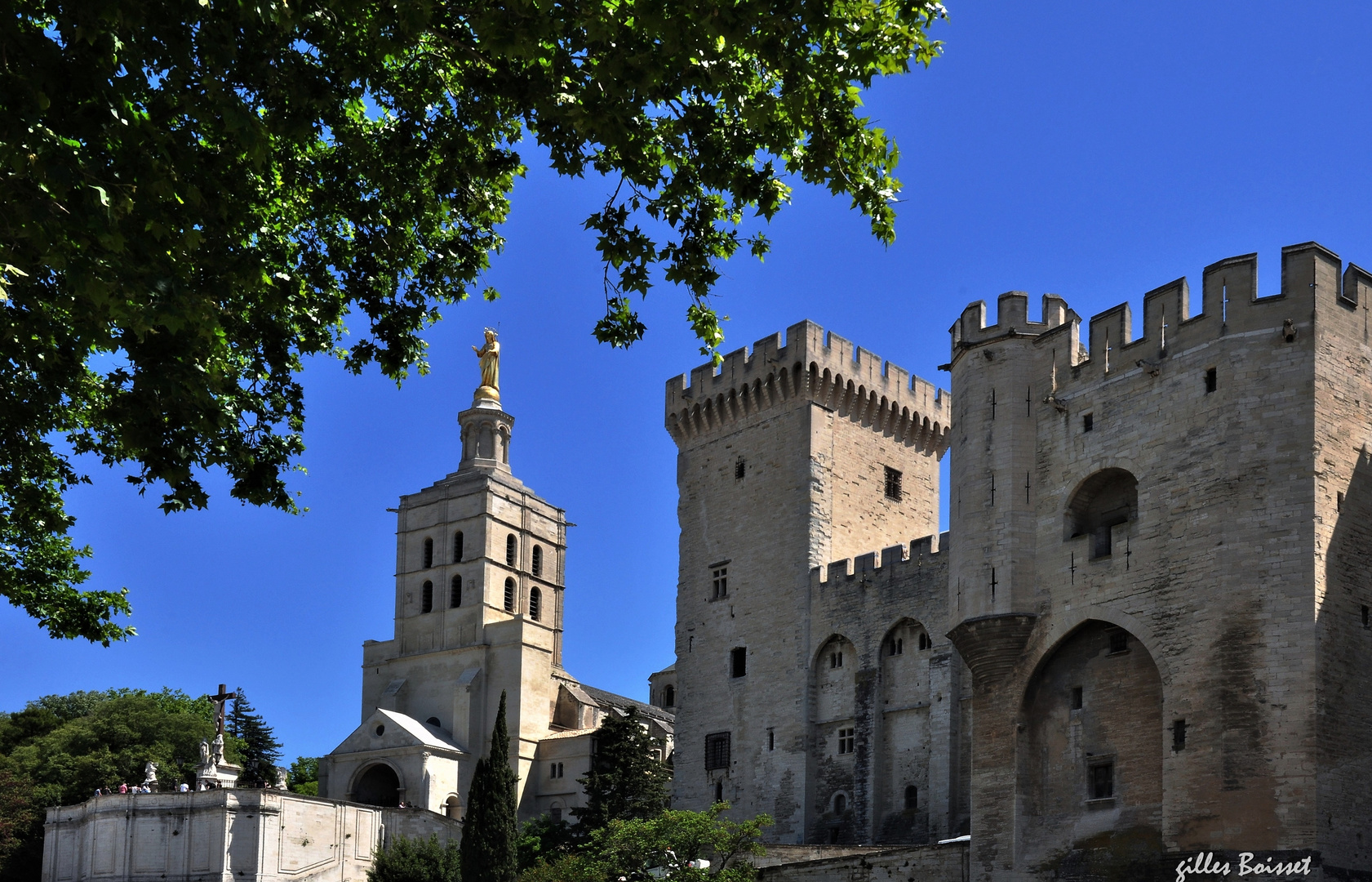 À l'ombre du palais