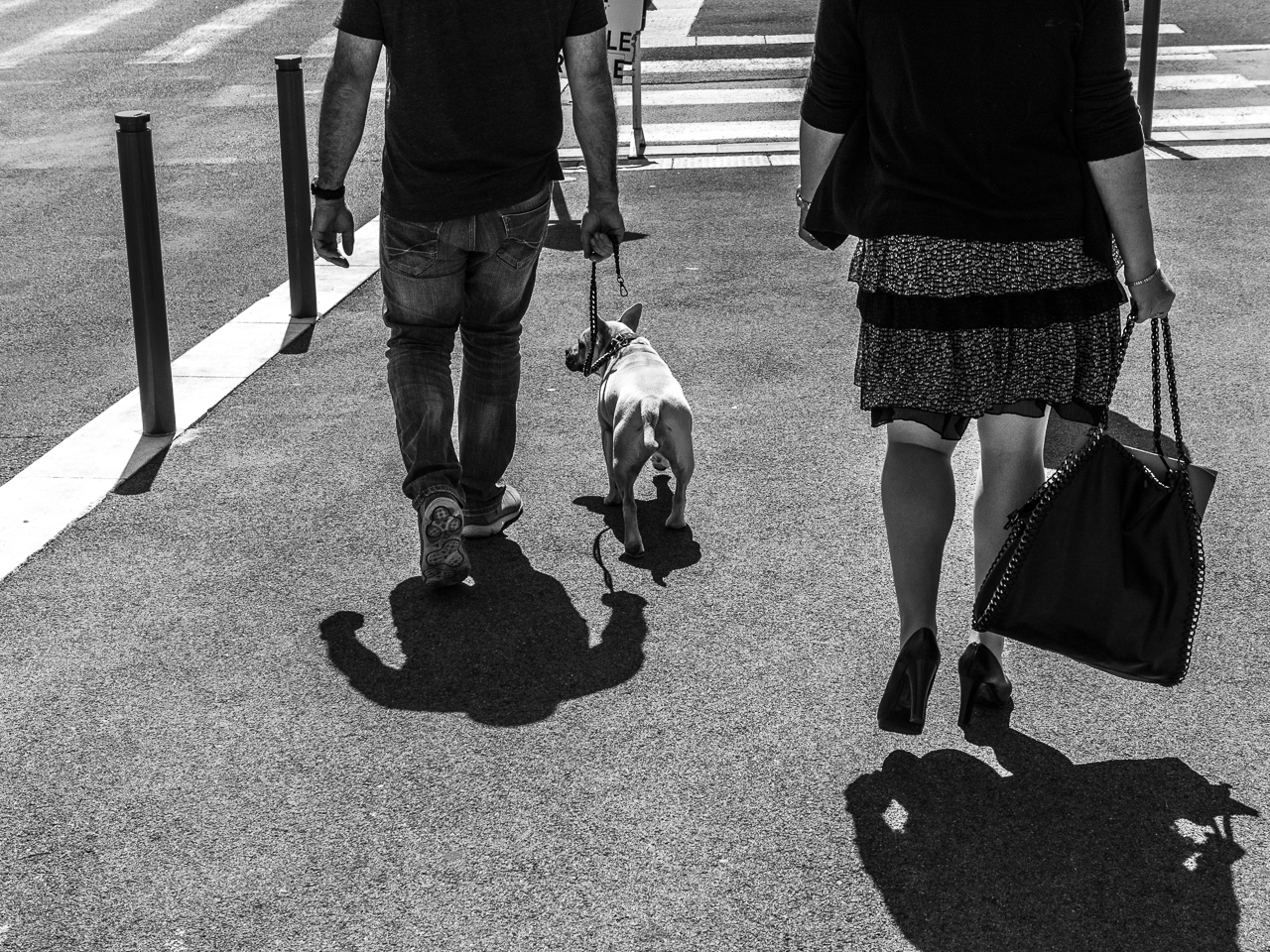 l'ombre d'un petit chien peut être petite...