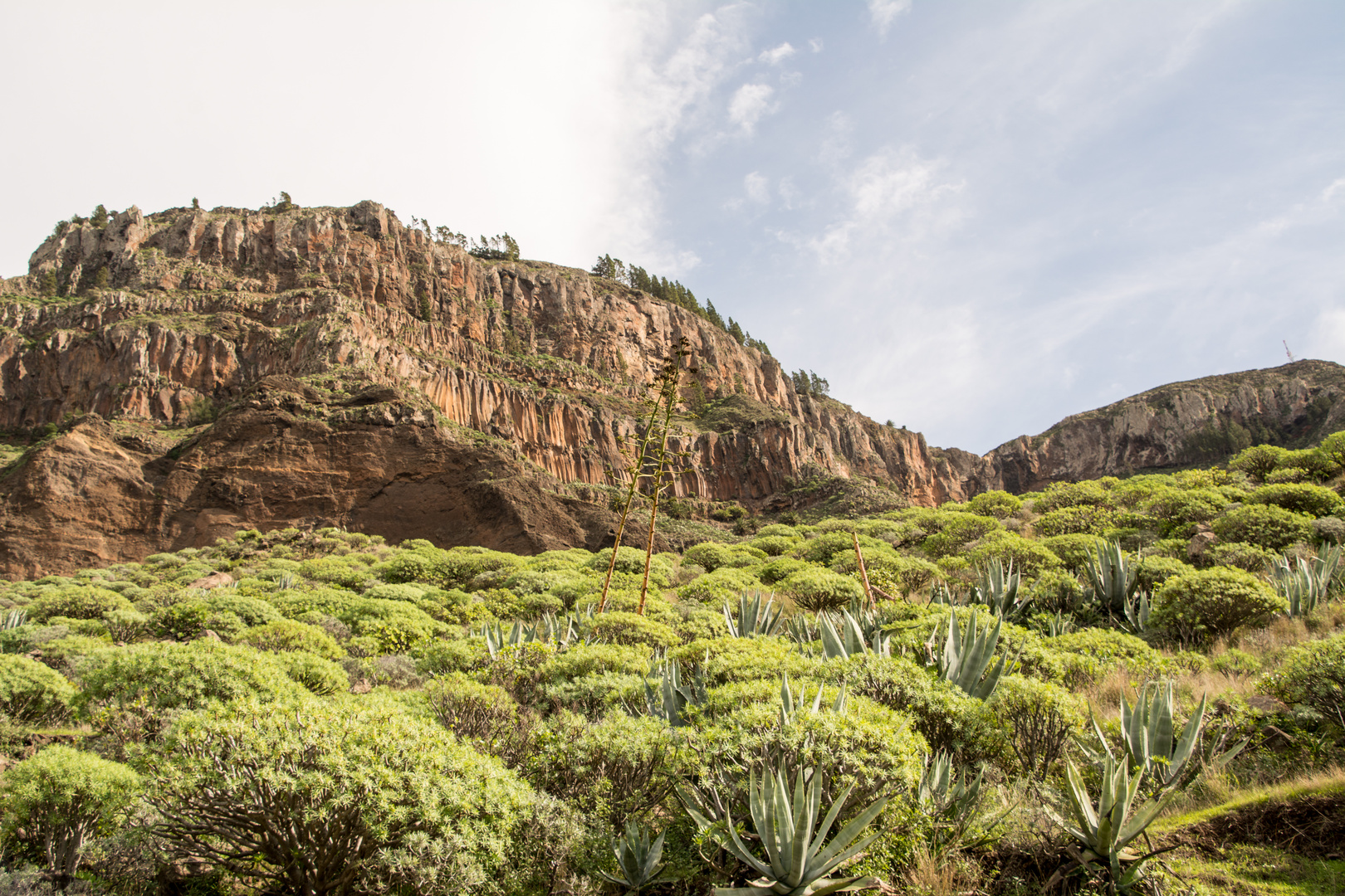 Lomo del Carreton, La Gomera