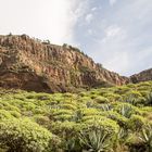 Lomo del Carreton, La Gomera