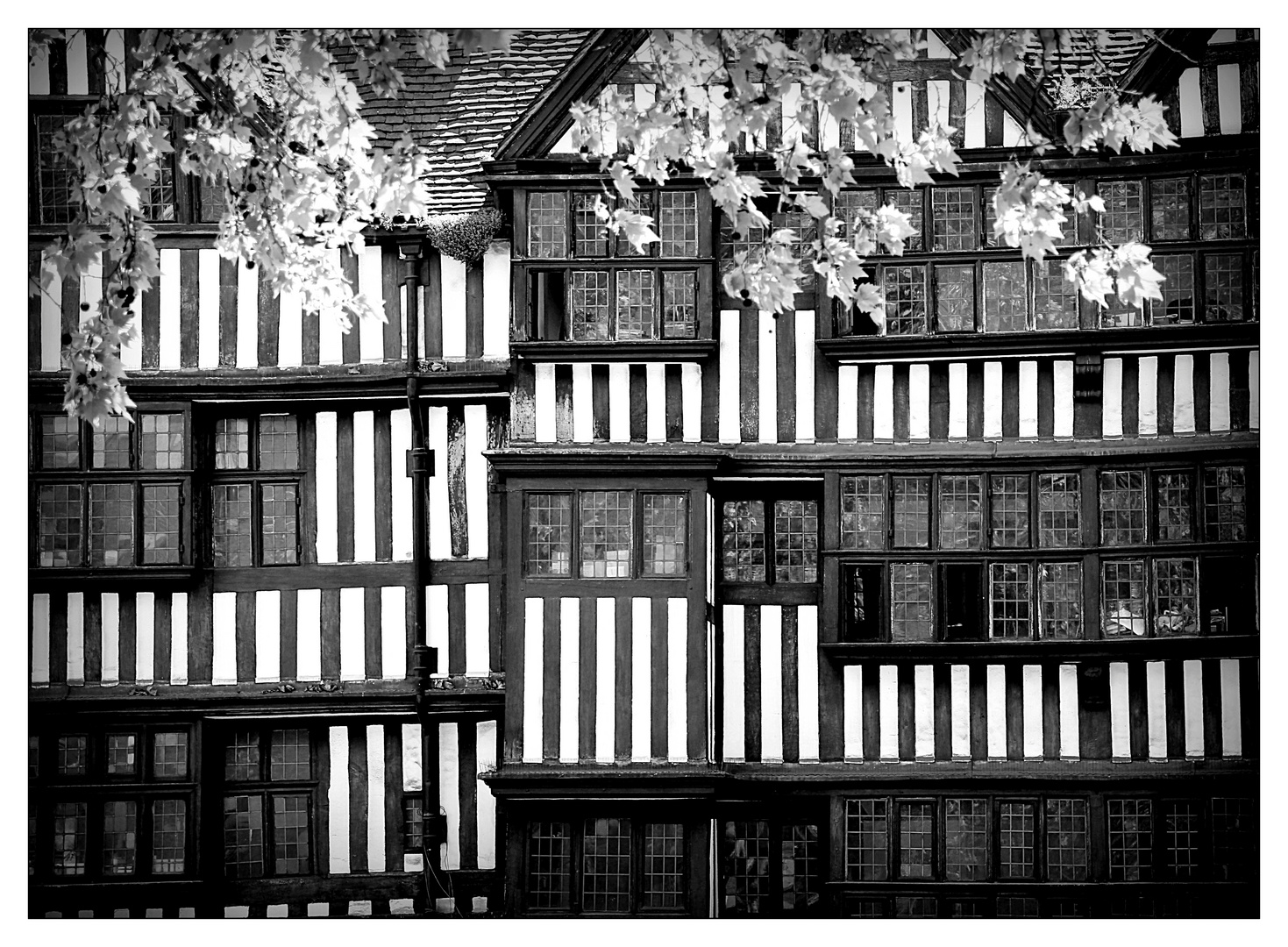 LONDON BC (Before Corona) - 92 - Staple Inn - Holborn