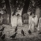 London Cemetery