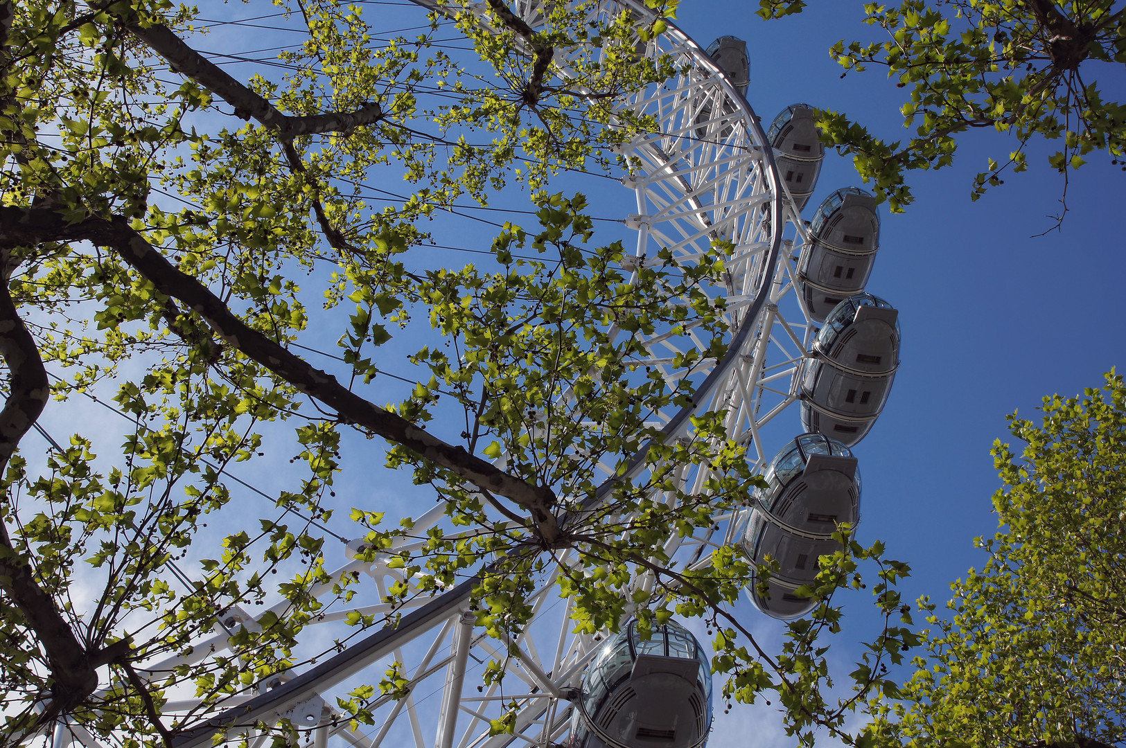 London Eye _01