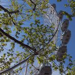 London Eye _01