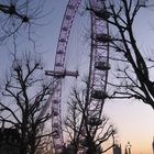 London Eye