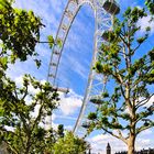 London Eye (2)