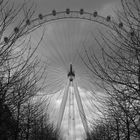 London Eye