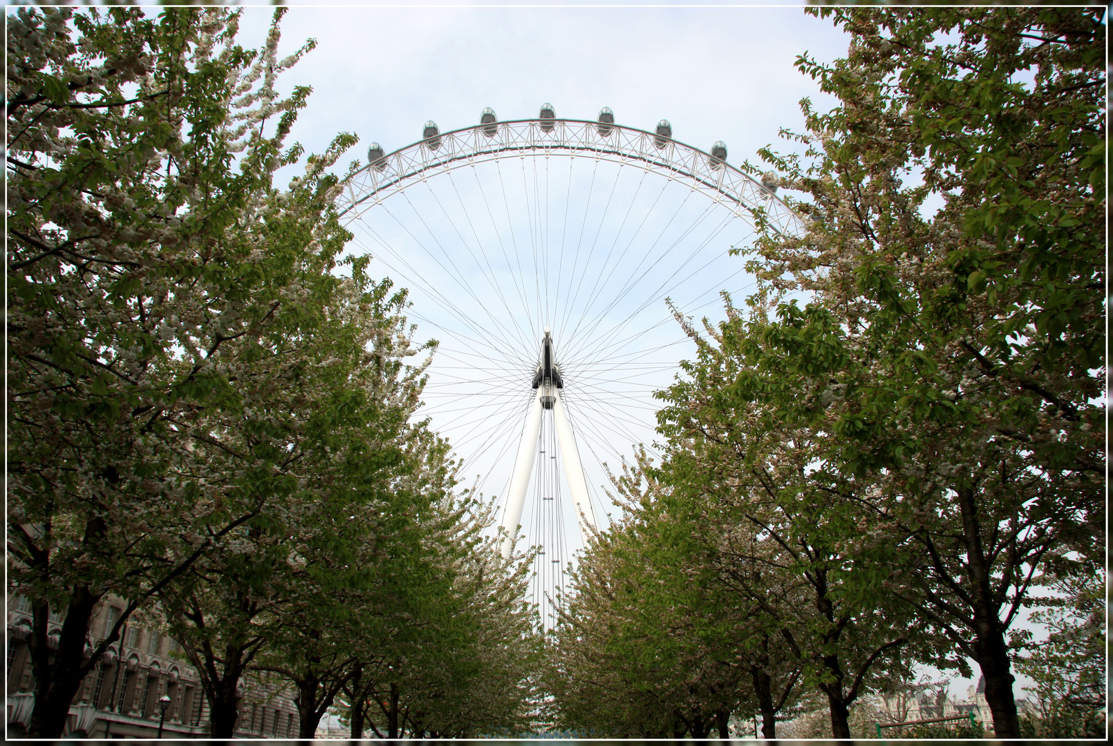 London Eye