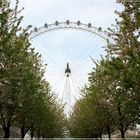 London Eye