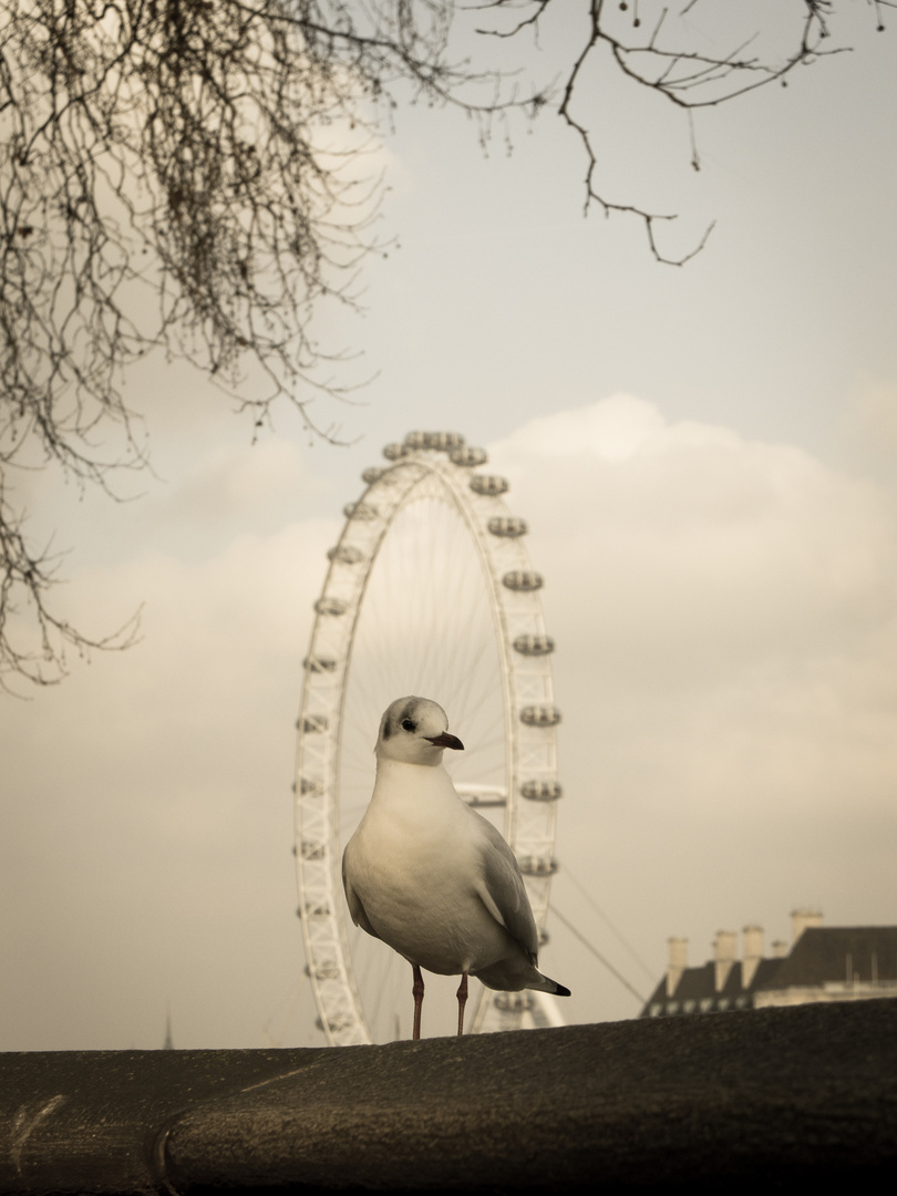 London Eye