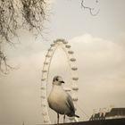 London Eye