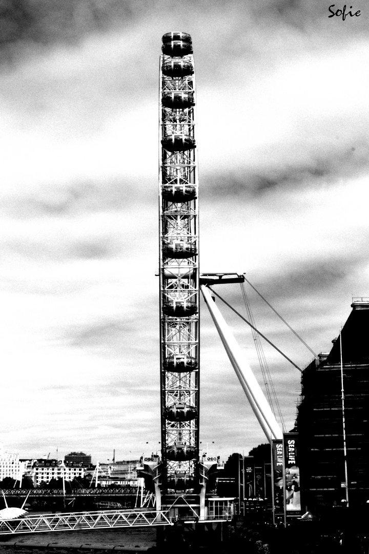 London Eye