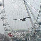 London Eye